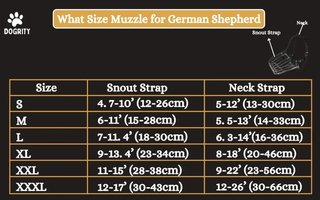 what size muzzle for german shepherd