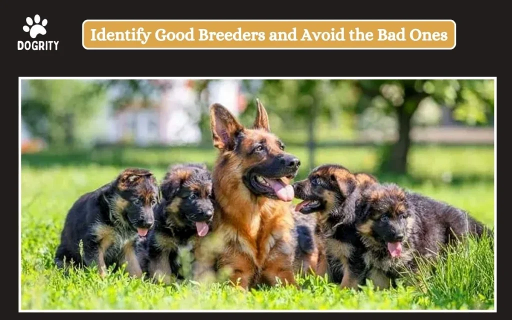 Identify Good Breeders and Avoid the Bad Ones