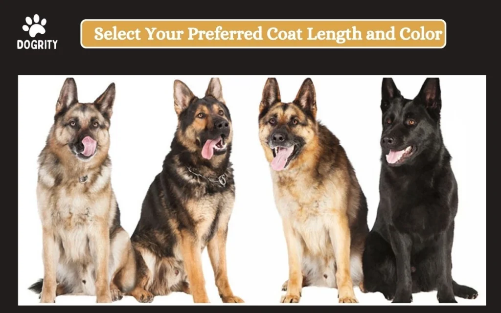 Select Your Preferred Coat Length and Color