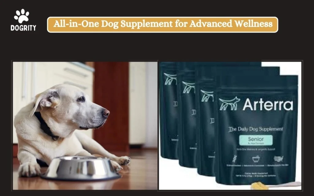 All-in-One Dog Supplement for Advanced Wellness