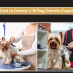 Cost to Groom 17 lb Dog Ontario Canada