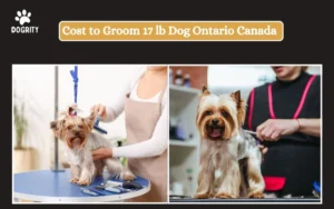 Cost to Groom 17 lb Dog Ontario Canada