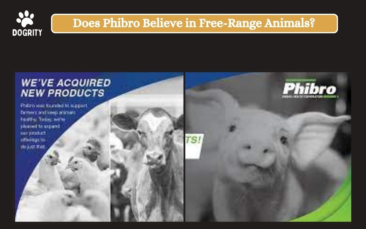 Does Phibro Believe in Free-Range Animals_