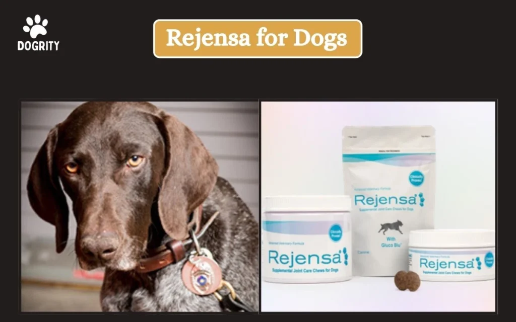 Rejensa for Dogs